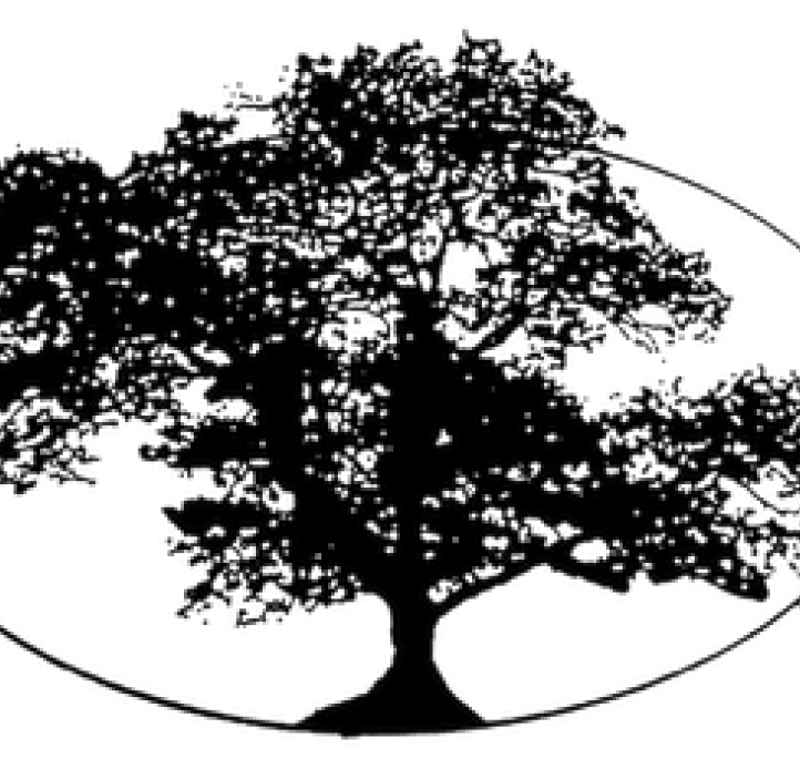 tree logo