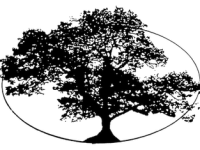 Black and White Sketch of a Tree