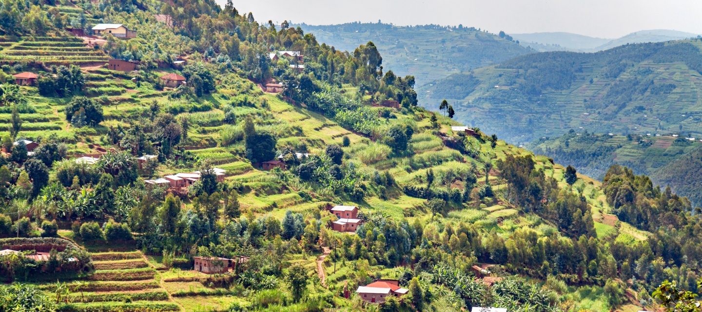 small brown houses on a terraced hillside in Rwanda